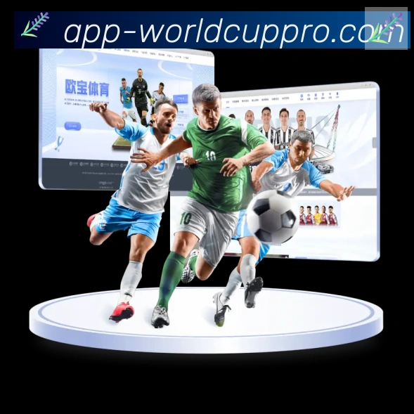 2026世界杯APP下载服务体系