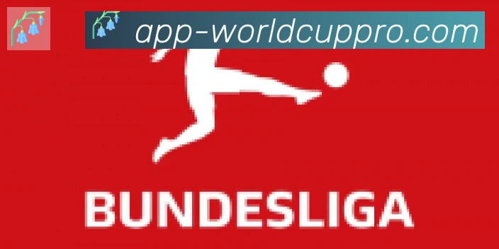 2026世界杯APP下载合作伙伴